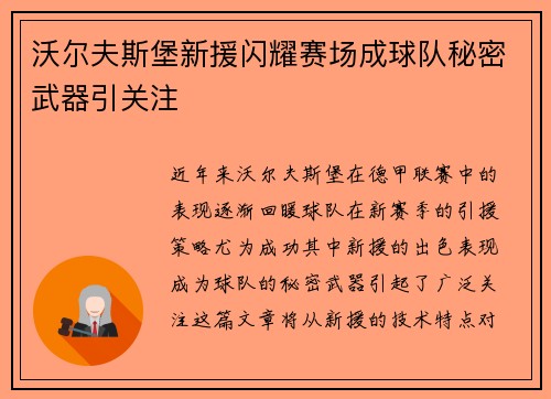 沃尔夫斯堡新援闪耀赛场成球队秘密武器引关注