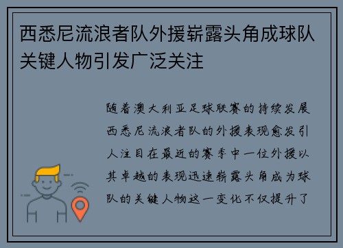 西悉尼流浪者队外援崭露头角成球队关键人物引发广泛关注